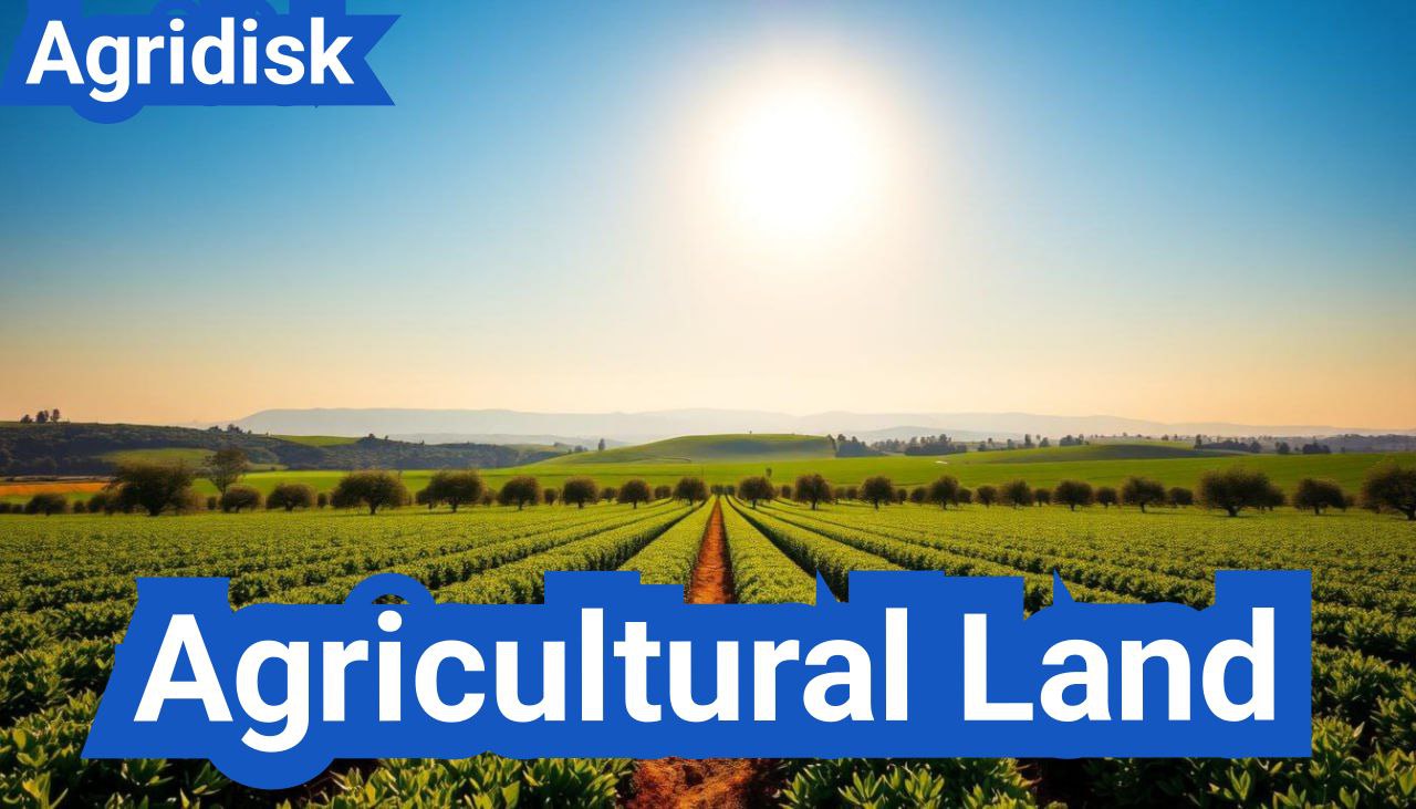 All About Agricultural Land | Meaning, Classification & Examples